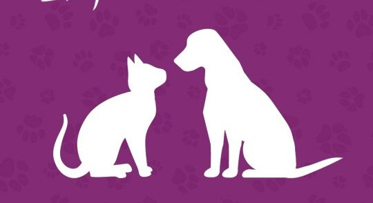  Global Pet Expo Summary & Highlights 